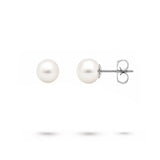WHITE 7.5-8MM FRESHWATER PEARL STUD EARRINGS IN WHITE GOLD - EARRINGS