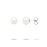 WHITE 7-7.5MM FRESHWATER PEARL STUD EARRINGS IN WHITE GOLD - EARRINGS