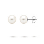 WHITE 8-8.5MM FRESHWATER PEARL STUD EARRINGS IN WHITE GOLD - EARRINGS