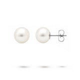 WHITE 8-8.5MM FRESHWATER PEARL STUD EARRINGS IN WHITE GOLD - EARRINGS