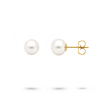 WHITE 7.5-8MM FRESHWATER PEARL STUD EARRINGS IN YELLOW GOLD - EARRINGS
