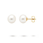 WHITE 8-8.5MM FRESHWATER PEARL STUD EARRINGS IN YELLOW GOLD - EARRINGS