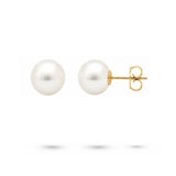 WHITE 8-8.5MM FRESHWATER PEARL STUD EARRINGS IN YELLOW GOLD - EARRINGS