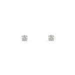 DAINTY DIAMOND STUDS IN WHITE GOLD - EARRINGS
