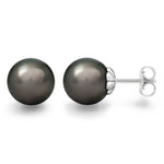 TAHITIAN PEARL STUD EARRINGS IN SCALLOPED SETTING - EARRINGS