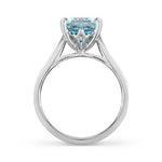 MEADOW RING IN WHITE GOLD WITH AQUAMARINE - ANNIVERSARY & CELEBRATION RINGS