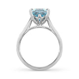 MEADOW RING IN WHITE GOLD WITH AQUAMARINE - ANNIVERSARY & CELEBRATION RINGS